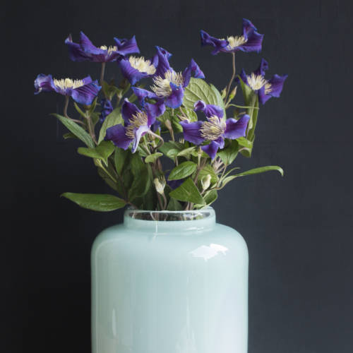 clematis_garden-collage_andreana-bitsis-2