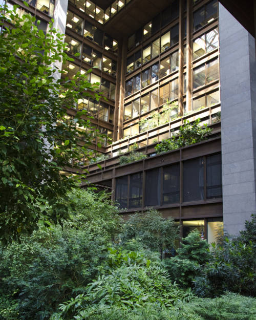 ford-foundation_garden-collage_andreana-bitsis-4