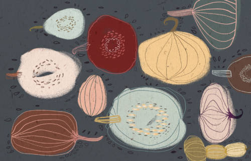 pumpkinpattern-turnt