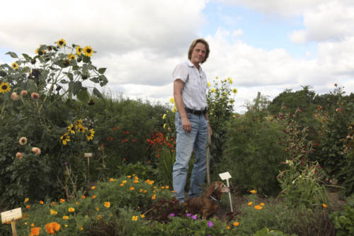 remedy-garden_garden-collage_caterina-rancho-5