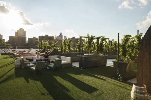 rooftop_reds-20160818-dsc03723_abel_