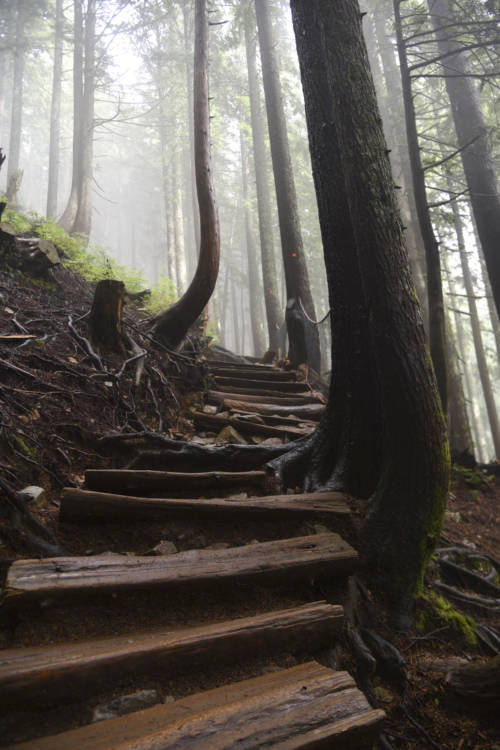 vancouver_garden-collage_molly-beauchemin-13