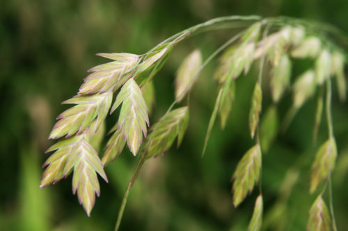 3813821794_2ea0b6ba09_b