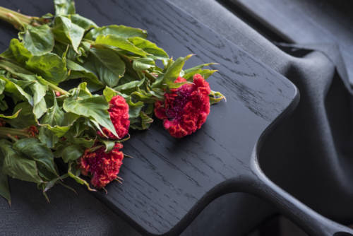 ask-ella-celosia_garden-collage_andreana-bitsis-3