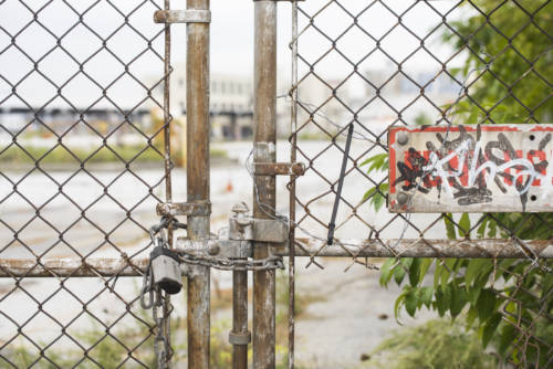 bushwick-inlet-park_garden-collage_andreana-bitsis-6