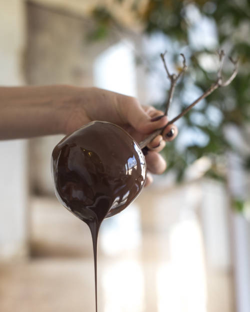 candle-apples_garden-collage_andreana-bitsis