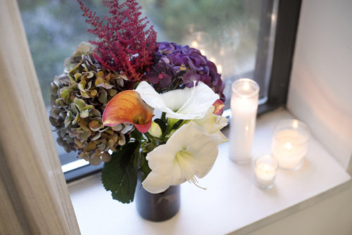 cozy-nights-botw_garden-collage_andreana-bitsis-2