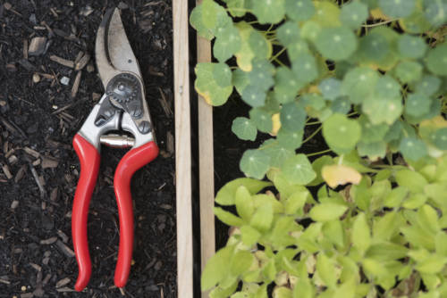 felco_garden-collage_andreana-bitsis-3