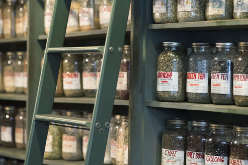 haylin-belay_garden-collage_andreana-bitsis_slideshow-3