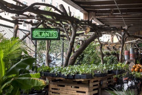 urban-garden-center_garden-collage_andreana-bitsis-14