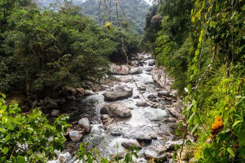 Trekking to Ciudad Perdida, Magdalena - Colombia