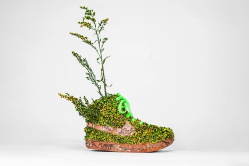 5uhgxuf9ksp34thjqssuzdycoajbmvsgzpxptk48nyu