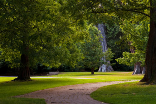 6066959982_4c43b68faa_o