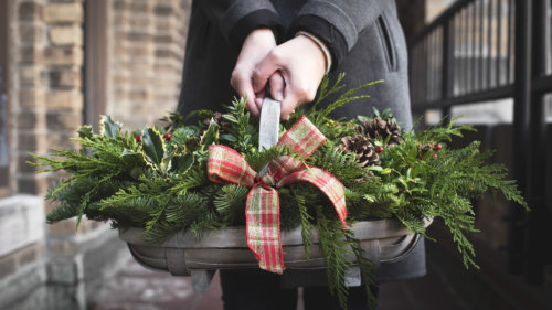 jackson-perkins_garden-collage_andreana-bitsis-3