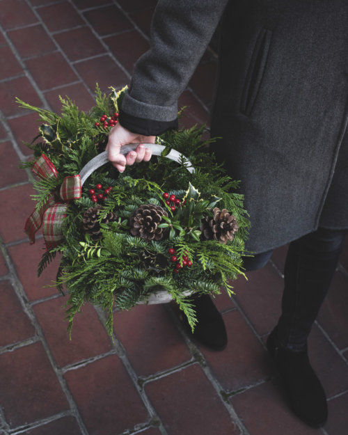 jackson-perkins_garden-collage_andreana-bitsis