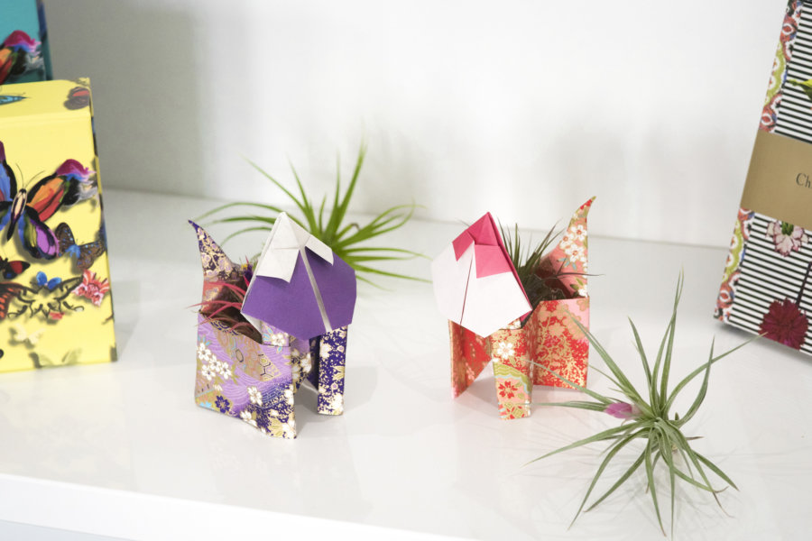Make These Adorable Origami Planters For Your Air Plants - Garden ...
