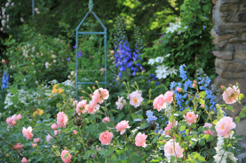 screen-shot-2016-11-15-at-8-30-19-am