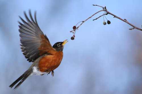 12889052043_b93c31097e_k