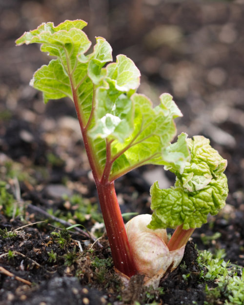 487848166_2f2e02fc64_o