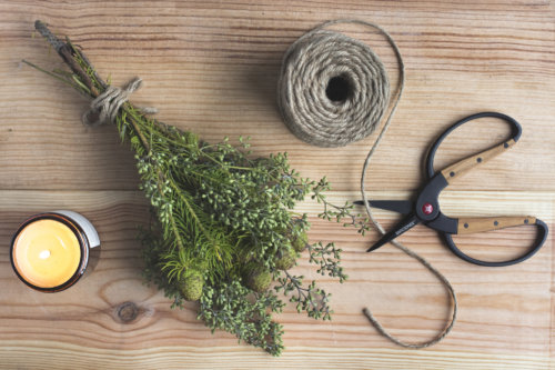 ask-ella-pinecone_garden-collage_andreana-bitsis