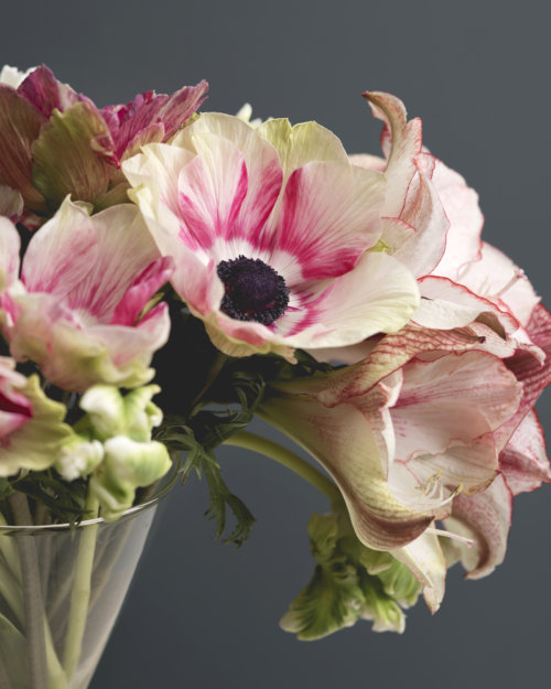 botw-eidia_garden-collage_andreana-bitsis-3