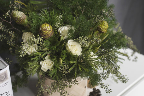 botw-into-the-cold_garden-collage_andreana-bitsis2