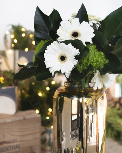 botw-modernizing-tradition-cropped_garden-collage_andreana-bitsis-3