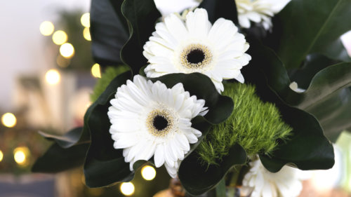 botw-modernizing-tradition_garden-collage_andreana-bitsis-5