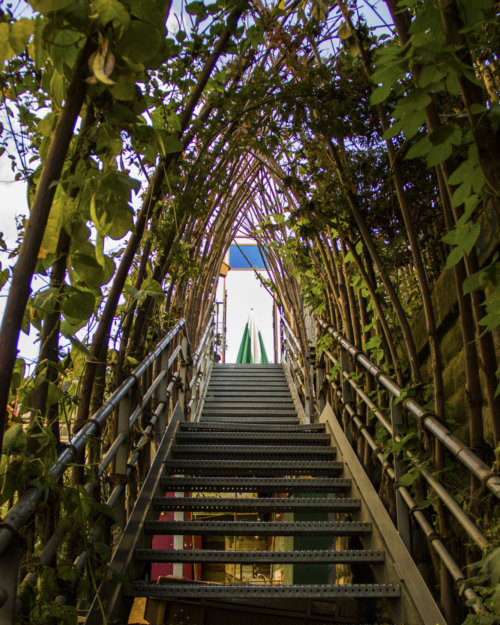 la-recyclerie_garden-collage_leyla-mattison-11