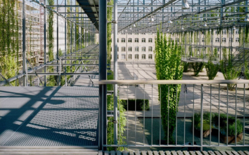 mfo-park-burckhardt-partner-1