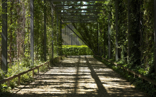 screen-shot-2016-12-06-at-4-32-19-pm