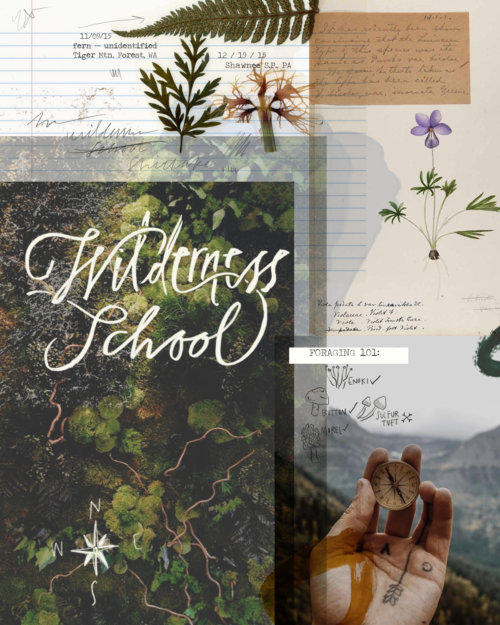 wildernessschool