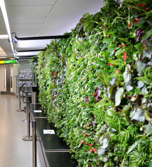 heathrow_1758138146275