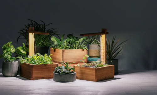 opus_lamp_profile_medium