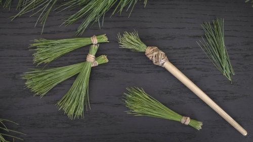 pine-needle-tassels_garden-collage_andreana-bitsis