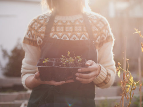 37b8f661-8db3-467b-9a87-218453186a0crs_768