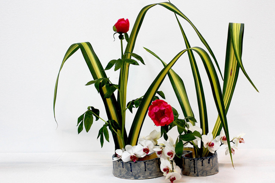 Discovering Ikebana, The Art of Japanese Flower Arranging Garden