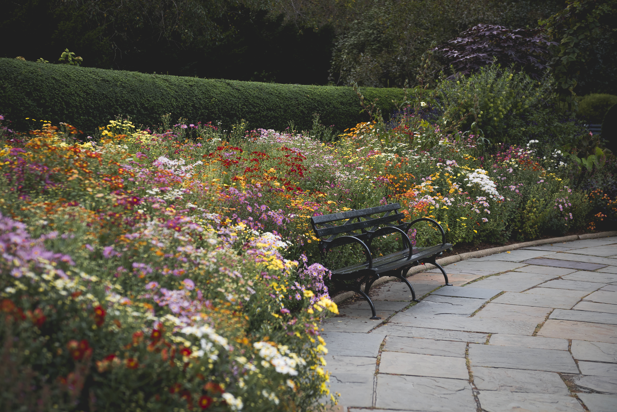 Central Park Conservatory Garden