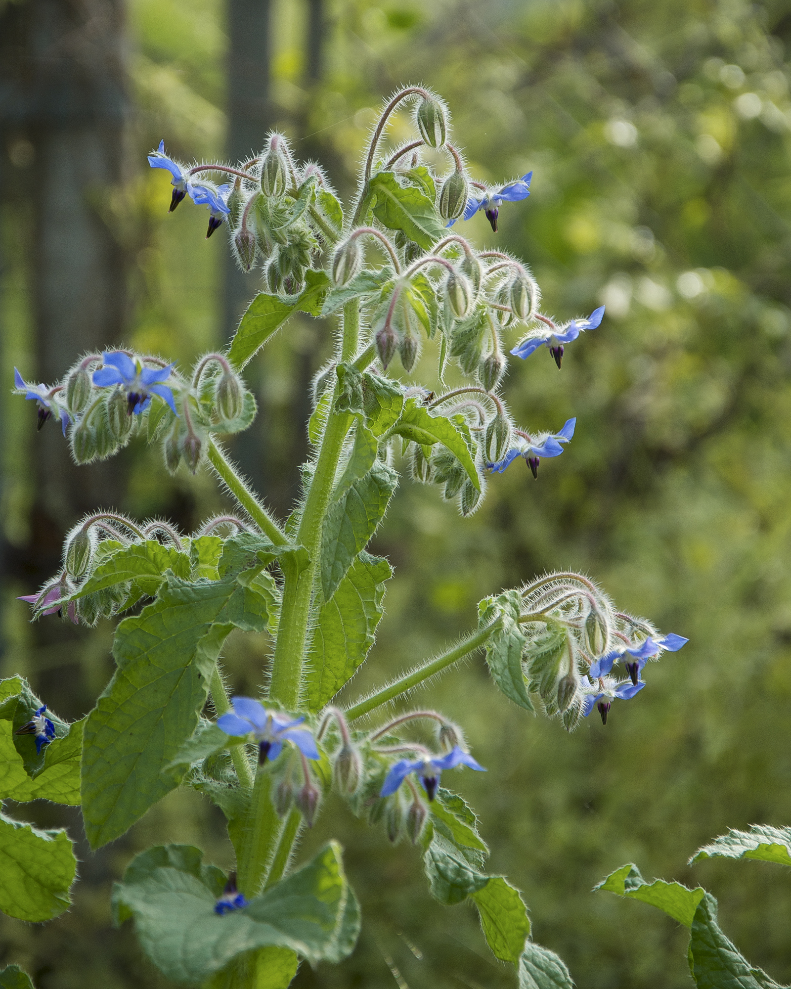 Pretty Hole Collective