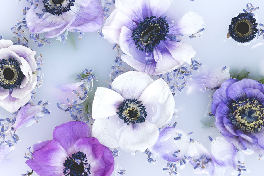 Floral Baths Have Officially Taken Over Instagram - Garden Collage Magazine